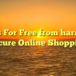 5 Tips For Free from harm and Secure Online Shopping