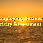 Employing Business Electricity Assessment Sites