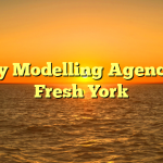 Guy Modelling Agencies Fresh York