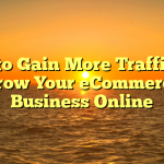 How to Gain More Traffic and Grow Your eCommerce Business Online