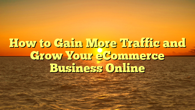How to Gain More Traffic and Grow Your eCommerce Business Online