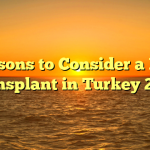 Reasons to Consider a Hair Transplant in Turkey 2023