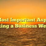 The Most Important Aspect of Ranking a Business Website