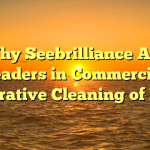 Why Seebrilliance Are Leaders in Commercial Restorative Cleaning of Metal